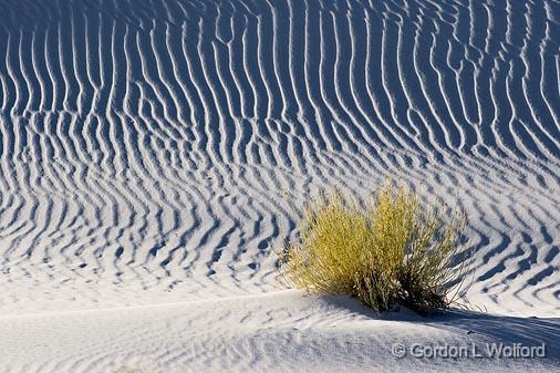 White Sands_32206.jpg - Photographed at the White Sands National Monument near Alamogordo, New Mexico, USA.